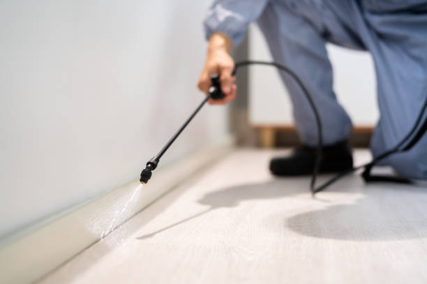 Licensed Cockroach Control service in Dale, IN - Nex Pest Control