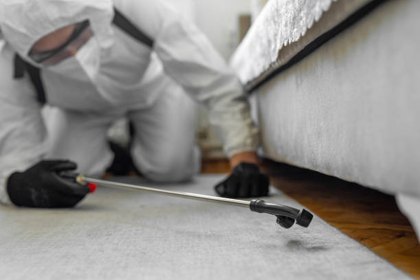 Professional Cockroach Control technician working in Dale, IN