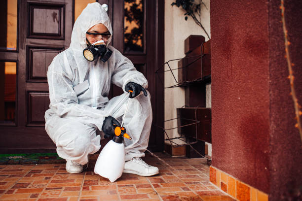 Reliable Cockroach Control contractor in Dale, IN by Nex Pest Control