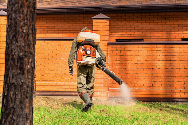 Top rated local Cockroach Control specialists in Dale, IN